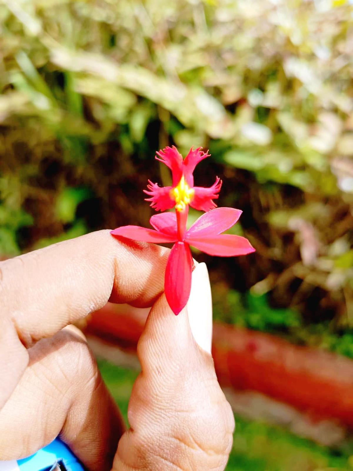 Kodai Riya Paradise 科代卡纳尔 外观 照片